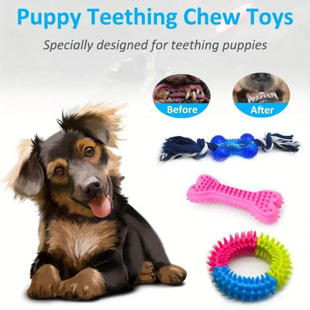 Dog Chew Toy Set Assortment (15-Pack) TM