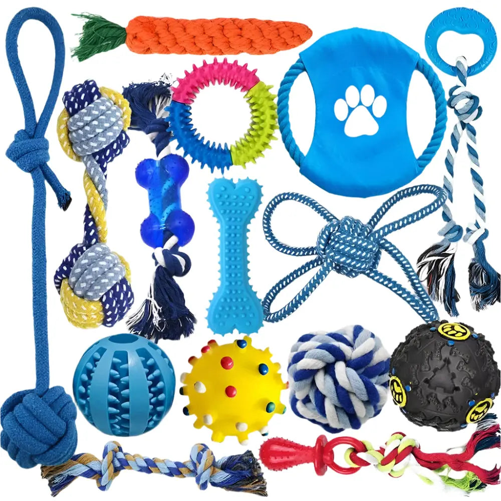 Dog Chew Toy Set Assortment (15-Pack) TM