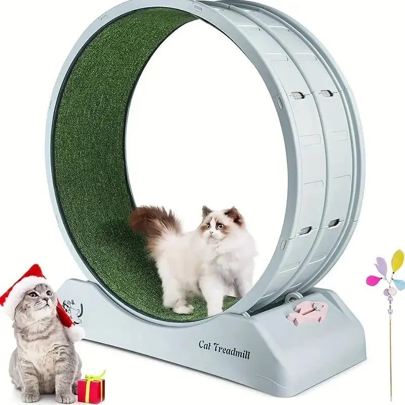 Pet Fitness Wheel - Interactive Treadmill NNETM