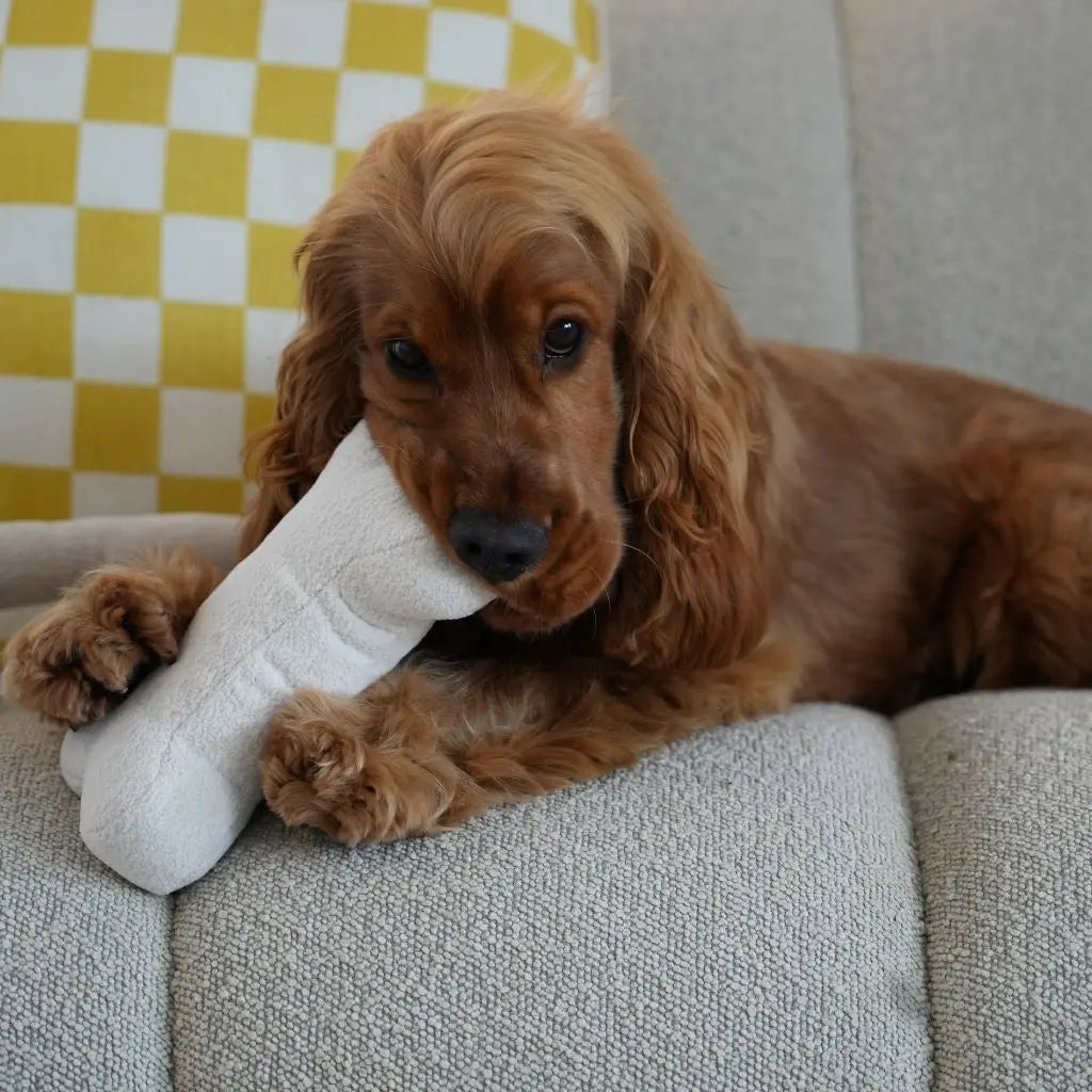 Boucle Bone Toy Lilly+Dash