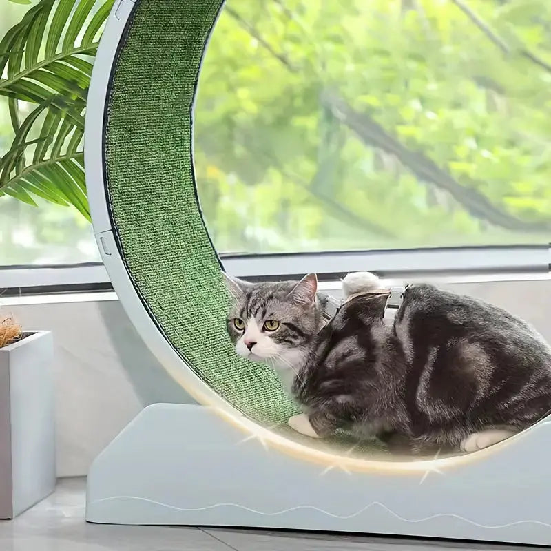 Pet Fitness Wheel - Interactive Treadmill NNETM