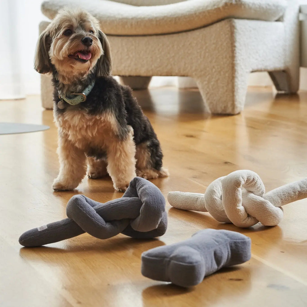 Boucle Bone Toy Lilly+Dash