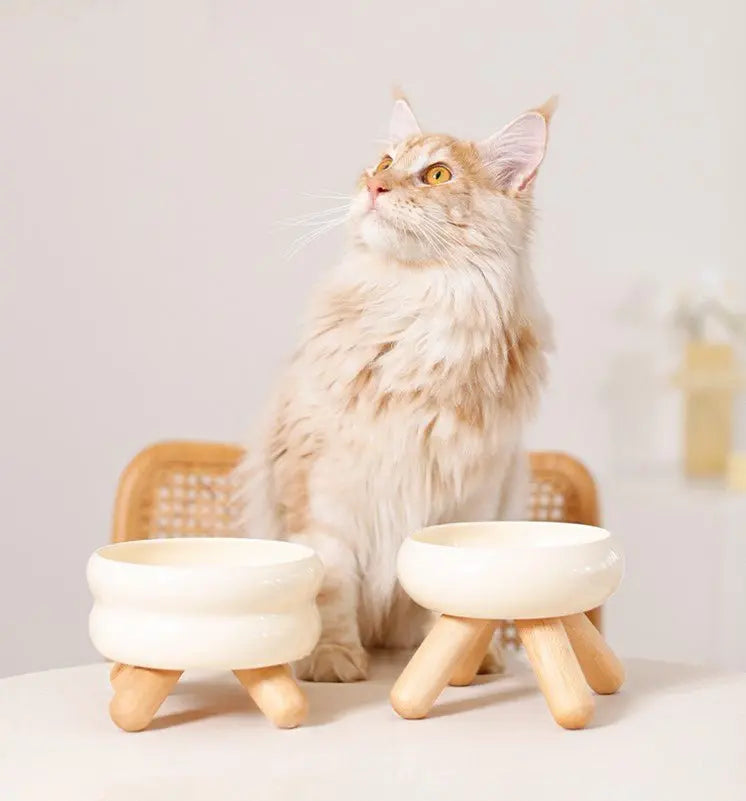 Elevated Ceramic Pet Bowl with Wooden Stand Meoof