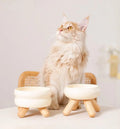 Elevated Ceramic Pet Bowl with Wooden Stand Meoof