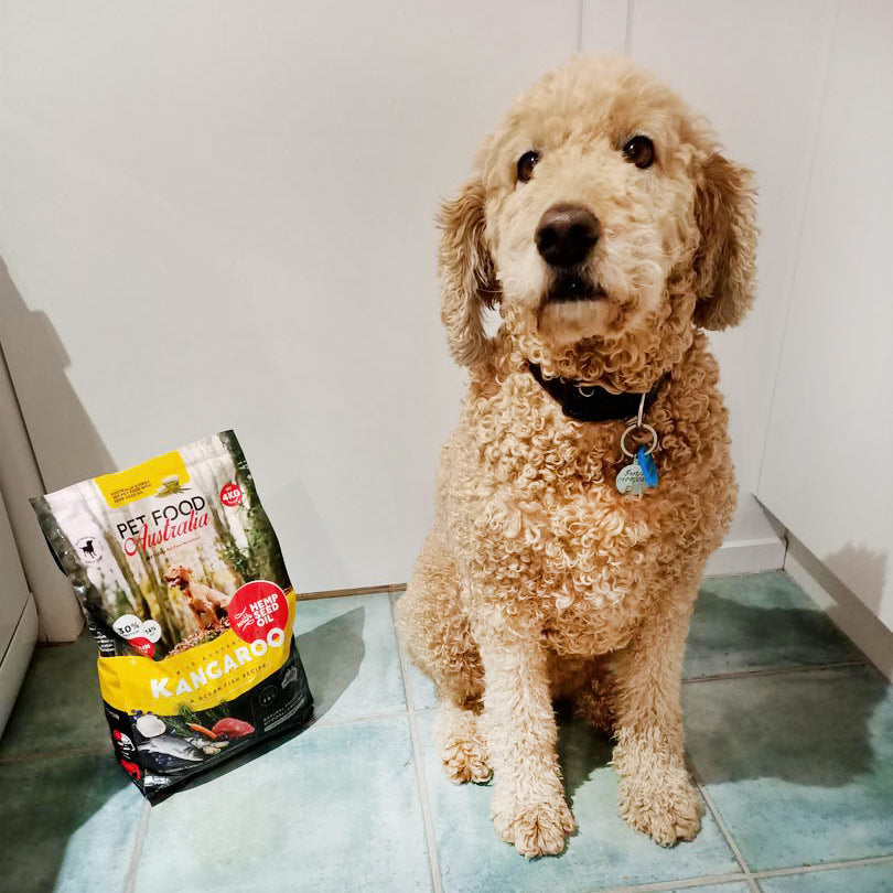Kangaroo & Ocean Fish Dry Food Collective