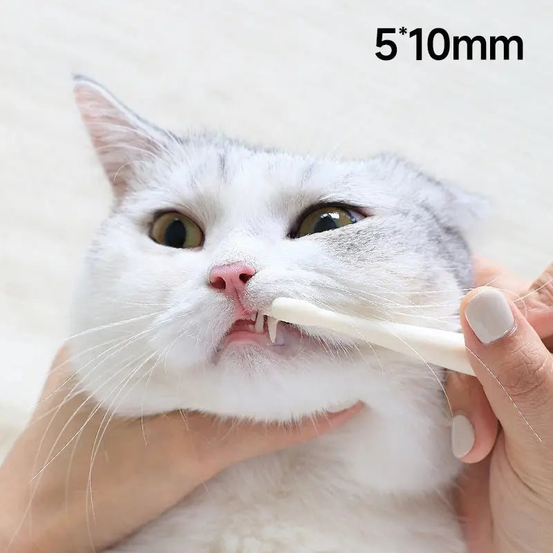 Small 7-Head Soft Bristle Pet Toothbrush Meoof