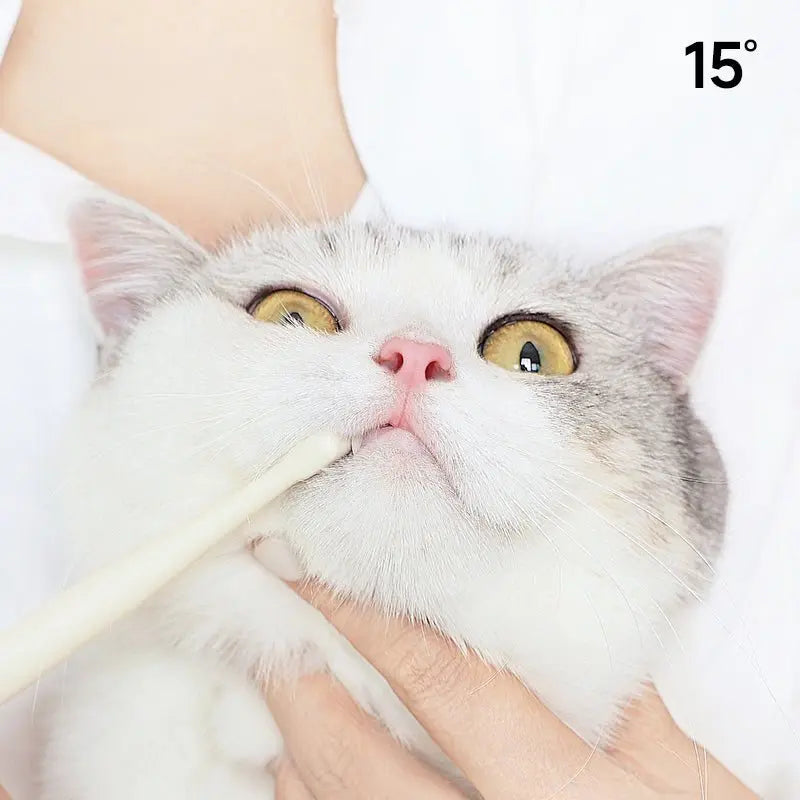 Small 7-Head Soft Bristle Pet Toothbrush Meoof